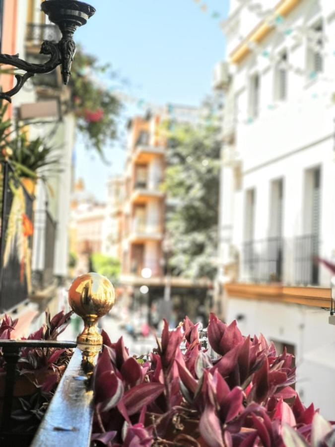 Casa Alfalfa 2 Dormitorios Terraza Y Solarium Privado Seville Luaran gambar