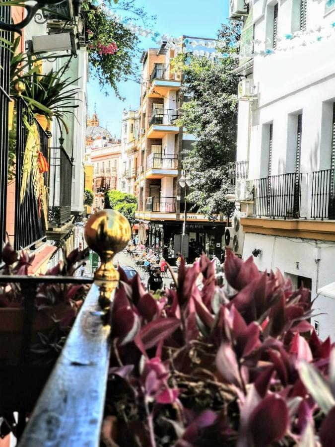 Casa Alfalfa 2 Dormitorios Terraza Y Solarium Privado Seville Luaran gambar